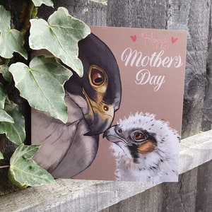 May include: A Mother's Day card featuring a brown and white illustration of a falcon and its chick. The card has a pink background with the text "Happy Mother's Day" in white.