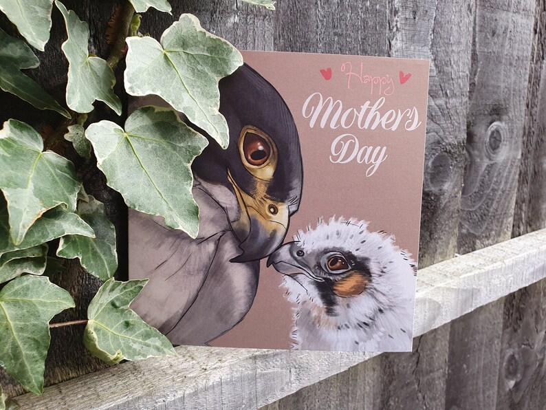 May include: A Mother's Day card featuring a brown and white illustration of a falcon and its chick. The card has a pink background with the text "Happy Mother's Day" in white.
