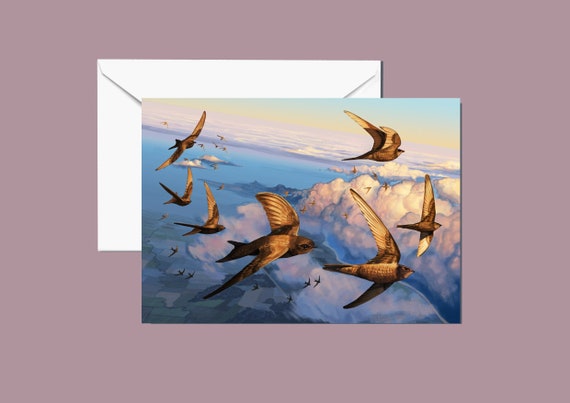 Swifts birds flying over clouds in a sunset A5 Large greeting card