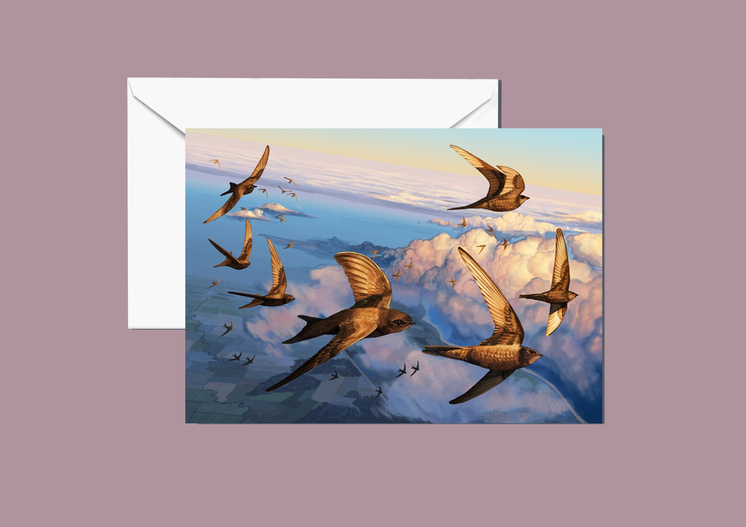 Swifts birds flying over clouds in a sunset A5 Large greeting card