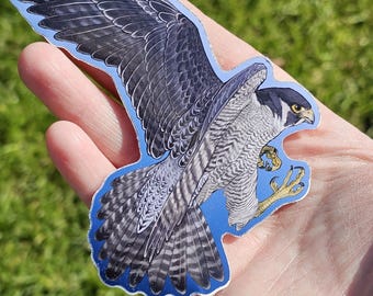 Peregrine Falcon large vinyl waterproof sticker