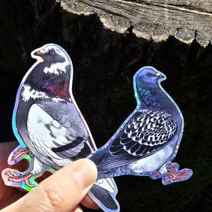 Holografisch verwilderte und zahme Tauben Sticker Bild 6
