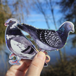 Holografisch verwilderte und zahme Tauben Sticker Bild 1