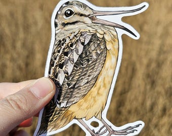 May include: A sticker featuring a detailed illustration of a bird with a long beak and patterned feathers. The bird has a tan and brown color scheme, with a white outline. The sticker is held by a hand against a blurred background of dry grass.