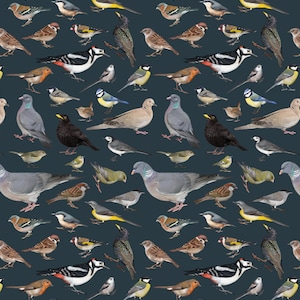Papier cadeau oiseaux du jardin animalier pour anniversaire ou Noël