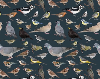 Garden birds wildlife gift wrapping paper for birthday or christmas