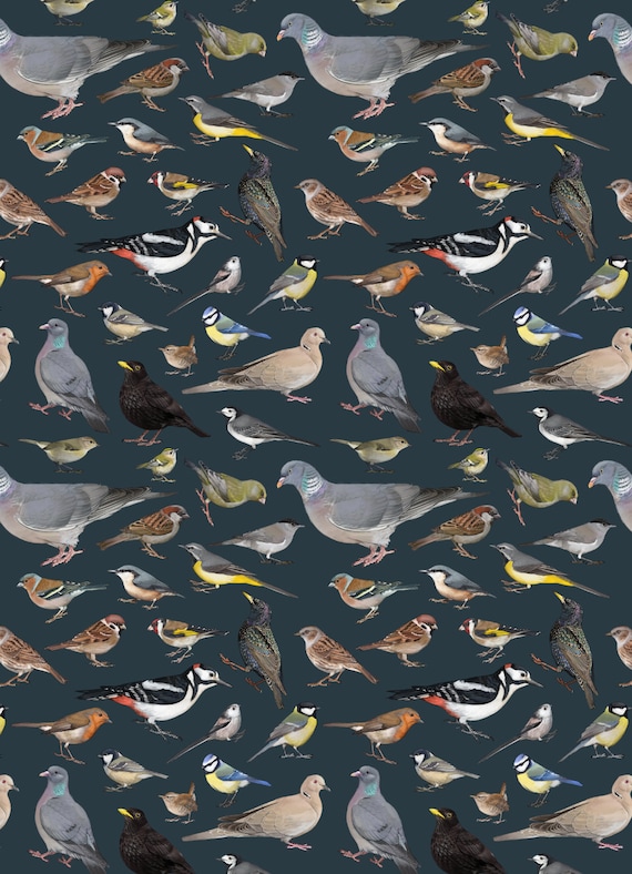 Garden birds wildlife gift wrapping paper for birthday or christmas