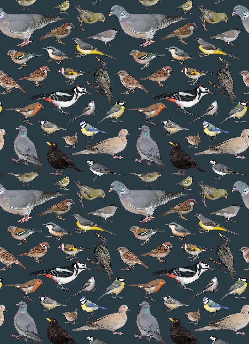 May include: A seamless pattern featuring a variety of birds on a dark blue background. The birds include robins, sparrows, blue jays, woodpeckers, and doves.