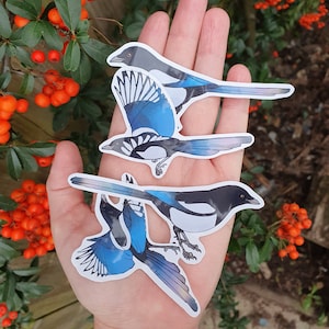 Ensemble Magpie Stickers 2020: Magpie | Jeu de 4 stickers vinyle étanche brillant