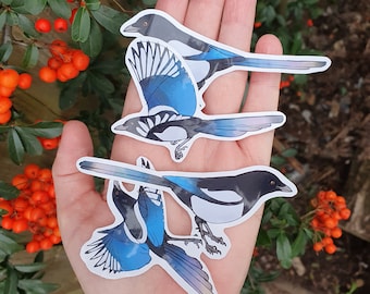 Magpie Stickers: Waterproof Glossy Vinyl Decals - Set of 4