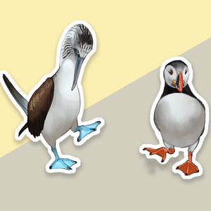 Macareux moine et oiseau Fou dansant | Autocollants résistants imperméables en vinyle de taille moyenne Seabird