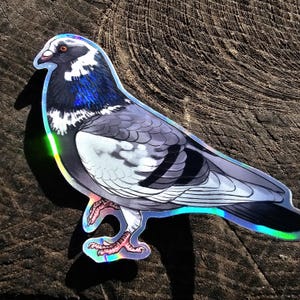 Holografisch verwilderte und zahme Tauben Sticker Bild 10