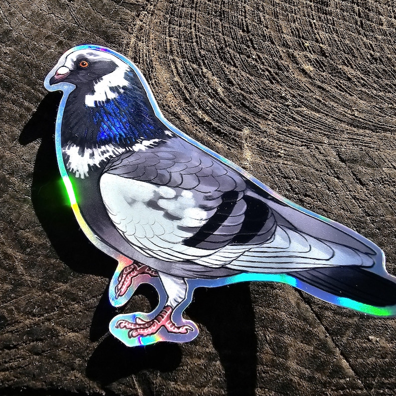 Holografisch verwilderte und zahme Tauben Sticker Bild 10