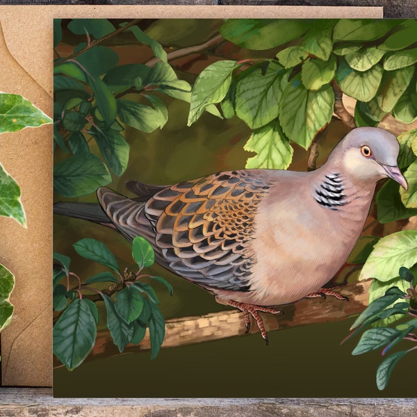 Oriental Turtle Dove Greeting Card | Birds | Pigeon | Dove