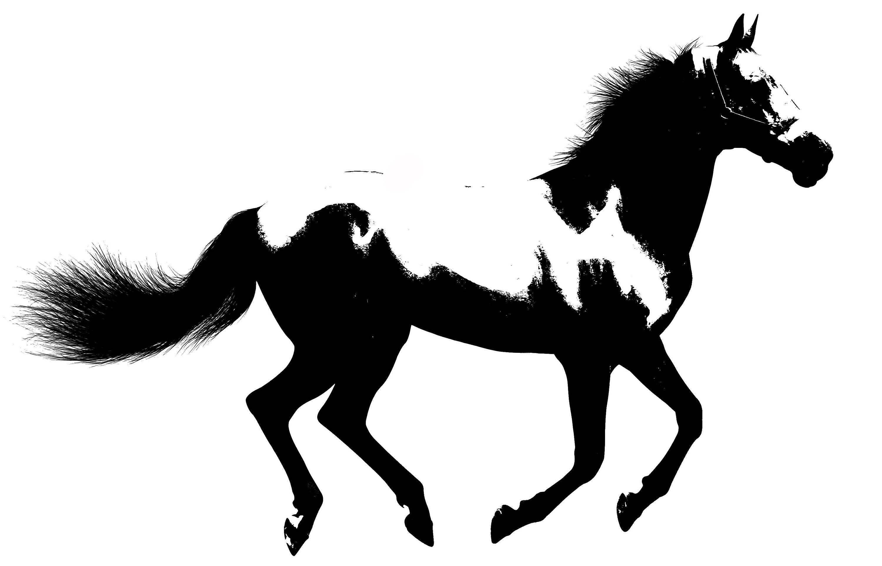 Horse High Quality Stencil 10 Mil Reusable Patterns Etsy