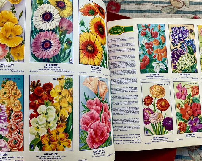 Vintage French Catalogue Seedling Guide, Magnificent Color