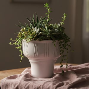 Könnte beinhalten: Ein weißer Keramiktopf gefüllt mit verschiedenen grünen Sukkulenten. Der Topf hat einen Sockel und dekorative vertikale Linien. Die Anordnung steht auf einem Holztisch mit einem rosa Tuch. Der Hintergrund ist sanft beleuchtet.