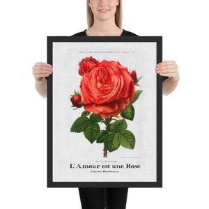 Cartel personalizado de la rosa roja del amor, regalo de San Valentín, regalo de San Valentín para ella, cartel de decoración de pared romántica