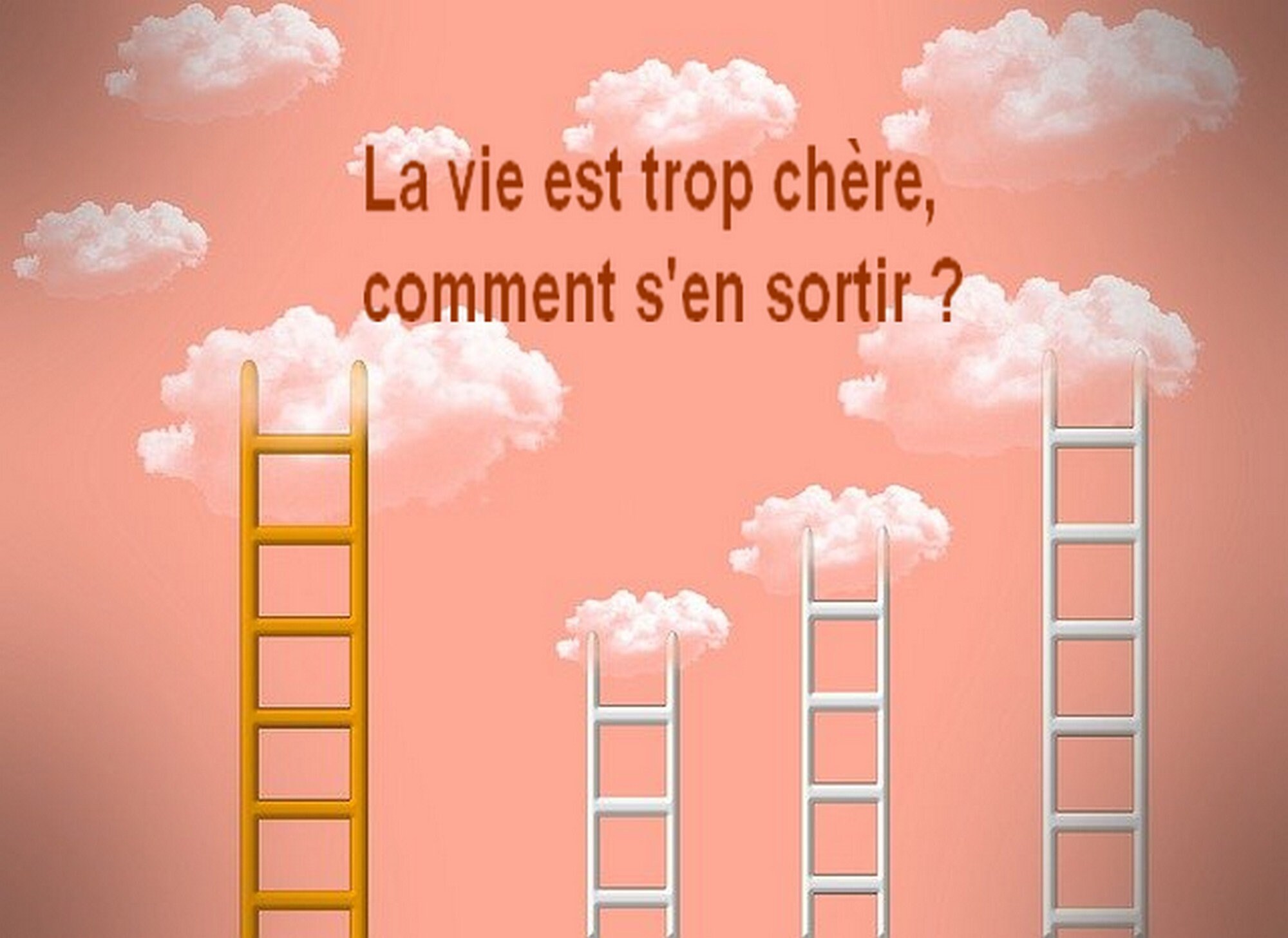 EBook La vie est trop chère comment s