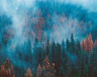 GEBLUST, mist en bomen, mistig, bos, kleurrijke, stemmige prints, humeurig landschap, herfstkleuren, Pacific Northwest, mist en bomen