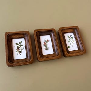 May include: Three small, rectangular wooden frames with botanical prints. Each frame has a dark brown, layered design. The prints feature illustrations of plants with berries and leaves, set against a white background.