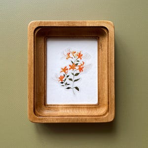 May include: A rectangular wooden frame with a light brown finish containing a white background. Centered on the white background is a botanical illustration of a flowering plant with vibrant orange petals, green leaves, and thin stems.