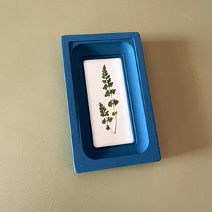 May include: A rectangular blue frame with a recessed center containing a white insert. A single pressed green fern leaf with delicate, segmented fronds is centered on the white background, creating a botanical display within the blue border.