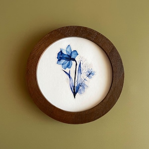 May include: A round, wooden framed art piece featuring a watercolor painting of a blue daffodil. The flower is centered on a white background. The frame is a dark brown color, and the artwork is mounted on a light green wall.