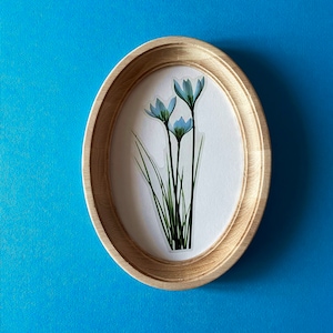 Marco ovalado natural, marco de fotos ovalado, marco de imágenes ovalado, marco para bordado, marco ovalado de madera. Tamaños: 3 x 5, 4 x 6, 5 x 7, 6 x 8, 8 x 10 pulgadas.