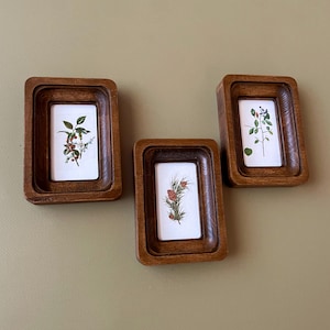 May include: Three small, rectangular wooden frames with botanical illustrations. The frames are a warm brown color and have a layered design. Each frame holds a different botanical print, featuring sprigs of berries, pine needles, and leaves.
