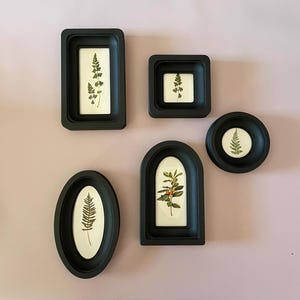 May include: A collection of six black framed botanical prints in various shapes: rectangular, square, oval, arched, and circular. Each frame contains a different pressed plant specimen against a white background, showcasing natural elements.