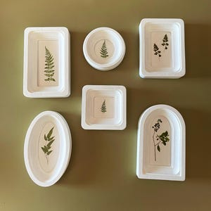 May include: A collection of six white framed botanical art pieces in various shapes: rectangular, round, square, oval, and arched. Each frame contains a pressed green plant specimen against a cream background, creating a natural, minimalist aesthetic.