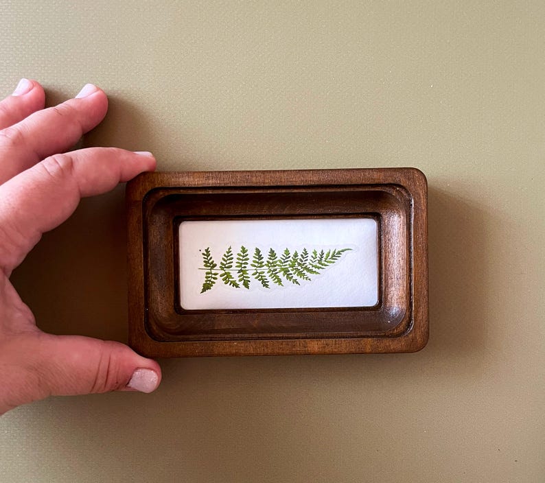 Puede incluir: Un peque&ntilde;o marco rectangular de madera con una hoja de helecho verde prensada sobre un fondo blanco. El marco tiene un acabado marr&oacute;n oscuro y un borde interior empotrado. El helecho est&aacute; centrado, mostrando sus delicadas frondas.