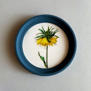 May include: A blue round frame with a white background featuring a yellow and green flower with a long stem.