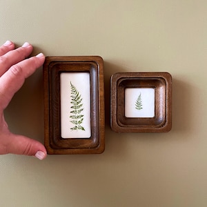 Pode incluir: Duas pequenas obras de arte bot&acirc;nica emolduradas em madeira. As molduras s&atilde;o de cor castanho escuro e t&ecirc;m formato retangular e quadrado. Cada moldura cont&eacute;m um fundo branco com uma folha de samambaia verde. As molduras s&atilde;o exibidas em uma superf&iacute;cie verde clara.