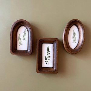 May include: Three wooden framed botanical prints. The frames are dark brown with different shapes: arched, rectangular, and oval. Each frame contains a white background with a green fern. The frames are mounted on a green wall.