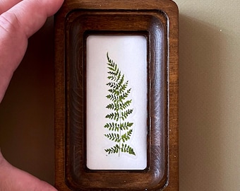 May include: A small, rectangular wooden frame with a pressed green fern leaf on a white background. The frame is a dark brown color and has a beveled edge. The fern is centered in the frame.