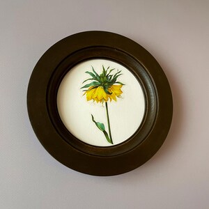 May include: A framed botanical print featuring a yellow crown imperial flower with green foliage. The artwork is set within a round, dark brown wooden frame. The background is a light pinkish-gray.