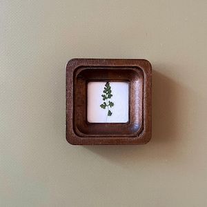 May include: A small, square, wooden frame with a dark brown finish. Inside the frame is a white square with a small, green, dried fern. The frame has rounded corners and a recessed inner edge, creating a shadow effect.