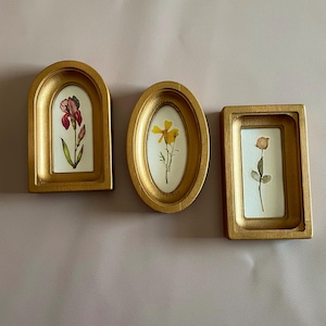 May include: Three small, gold-framed botanical art pieces. The frames are in arched, oval, and rectangular shapes. Each frame contains a pressed flower in shades of red, yellow, and peach, set against a white background. The frames are displayed on a neutral-toned surface.