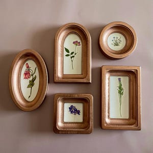 May include: A collection of six copper-colored framed botanical art pieces. Each frame holds a pressed flower or plant specimen against a white background. The frames vary in shape, including oval, arched, round, and rectangular.