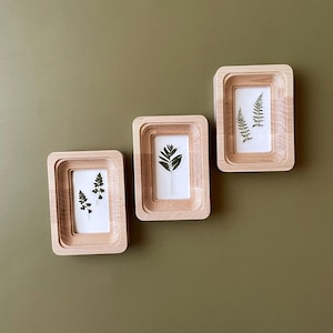 Op de afbeelding: Drie rechthoekige houten frames met een gelaagd ontwerp, elk met een geperste groene varen op een witte achtergrond. De frames zijn gemonteerd op een gedempte groene muur, wat een natuurlijke, minimalistische esthetiek creëert.
