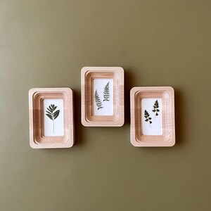 Könnte beinhalten: Drei Holzrahmen mit botanischen Drucken von gepressten Farnen und Blättern. Die Rahmen sind aus hellem Holz mit einem geschichteten Design. Der Hintergrund ist einfarbig olivgrün.