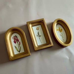 May include: Three gold-colored picture frames of different shapes, each containing a pressed flower. The frames are a rectangle, an oval, and an arched shape. The flowers are a red iris, a yellow flower, and a rose.