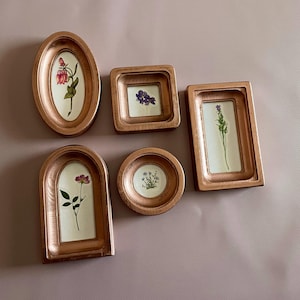 May include: A collection of six copper-colored frames in various shapes, each containing a pressed flower. The frames include oval, square, rectangular, arched, and circular designs. The flowers are in shades of pink, purple, and white, set against a cream background.