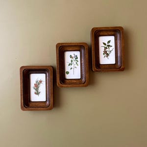 May include: Three small, rectangular wooden frames with botanical prints. Each frame has a dark brown, ridged border. The prints feature detailed illustrations of plants, including berries and pine needles, on a white background. The frames are arranged on a light green wall.