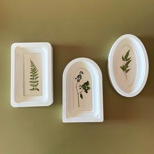 May include: Three white framed botanical art pieces. The frames are rectangular, arched, and oval, each containing pressed plants. The rectangular frame holds a fern, the arched frame has berries, and the oval frame features leaves. The background is a muted green.