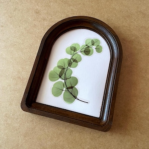 Puede incluir: Una impresión botánica enmarcada con una ramita de hojas verdes de eucalipto. Las hojas están superpuestas sobre un fondo blanco, dentro de un marco de madera arqueado de color marrón oscuro. El marco tiene un acabado liso y pulido.