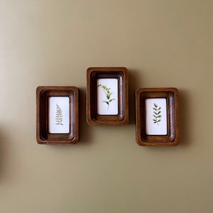 May include: Three rectangular wooden frames with botanical prints. Each frame has a dark brown finish and a recessed design. The prints feature delicate green fern and leaf illustrations on a white background, creating a natural aesthetic.