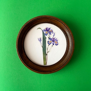 Round wooden photo frame sizes 2-16 inches